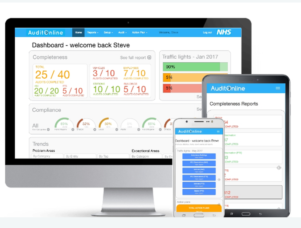 AuditOnline Screenshot 1