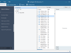 Auslogics File Recovery Screenshot 1