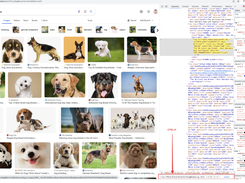 autocrawler Screenshot 5