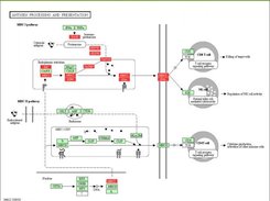 KEGG pathways
