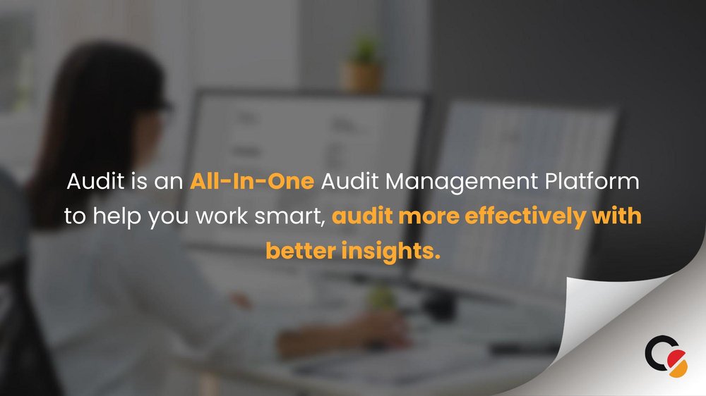 Audit Intro