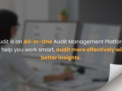 Audit Intro