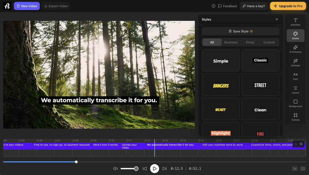 autosubtitles editor with style presets panel open