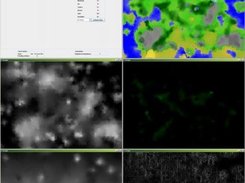 Different views of the main window (debug interface)
