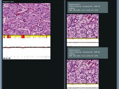 Comparative Search (alternative view)