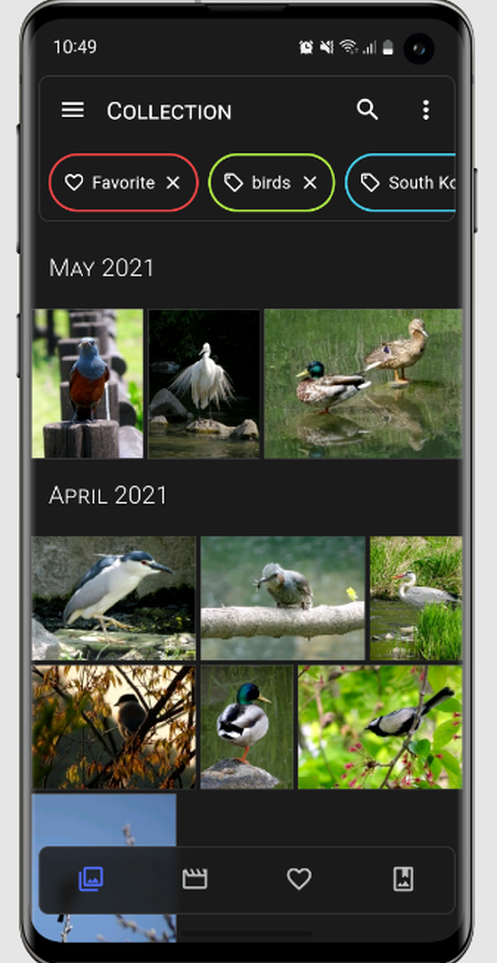 Aves Gallery Screenshot 1