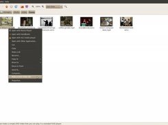 Start the program from the Menu or Right Click the AVI File.