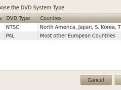 Select the DVD Type