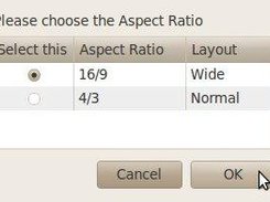 Select the Aspect Ratio