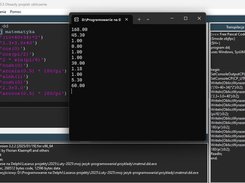 Avocado IDE w Windows 11