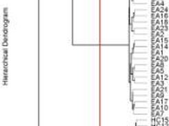 A hierarchical plot using the perlegen500 example dataset