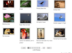 Awesome Flickr Gallery with Thumbnail size photos with white background