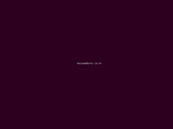 AwlsomeBuntu Boot