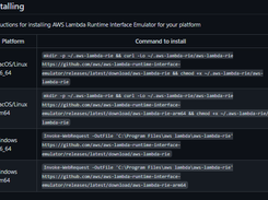 AWS Lambda Runtime Interface Emulator Screenshot 1