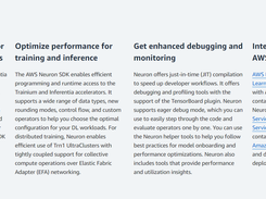 AWS Neuron Screenshot 2