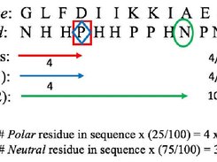 AmPEP and AxPEP Screenshot 3