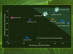 Aya Vision Screenshot 1