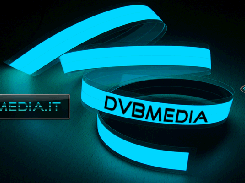 dvbmedia.it Screenshot 1