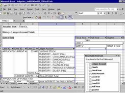 Pivot Table Output 