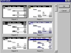 Pivot Report Formats 