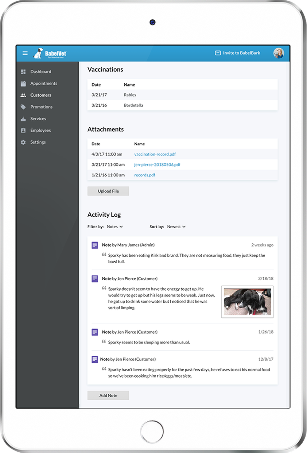 BabelVet Screenshot 1