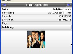 Screen shot of individual pin details