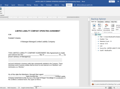 BackUp Xplorer example in MS Word taskpane