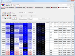 HeatMap view (desktop version)