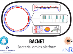 Splash screen of BACNET platform