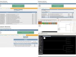 06. Flow analysis BacSearch