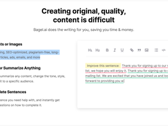 Bagel.ai features