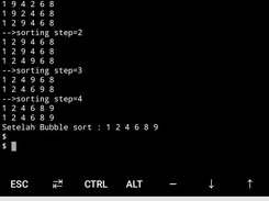 BAIK on Android runs Bubble Sort