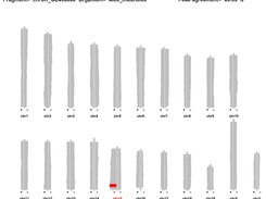 BAIT graphical Unknown fragment output