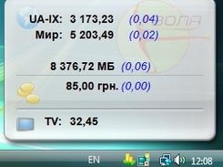 Balance Checker Main Window (Volia Broadband Skin)