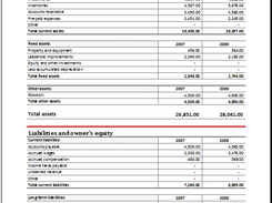 Assets and Liability Report Balance Sheet