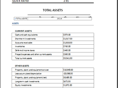Balance Sheet with Working Capital