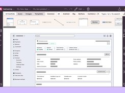 Balsamiq user interface