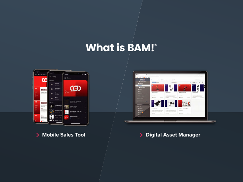 BAM! Reviews and Pricing 2022