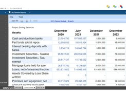 Budgeting and Forecasting Tool