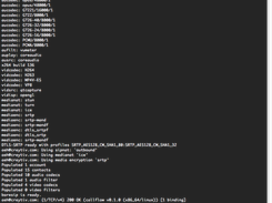 baresip Screenshot 1