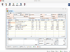 Purchase Invoice Entry Screen