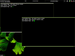 A Fluxbox desktop, with bash-fuzzy-clock running in a Conky script as a clock (top-left), and two terminals (one in French). 