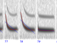 Call spectrograms