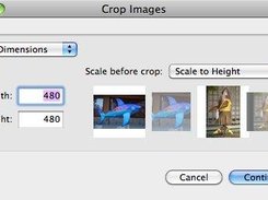 BatchCropImages Screenshot 4