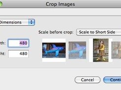 BatchCropImages Screenshot 3