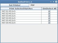 Bulk Print Batches Through Desktop