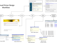 Manual Primer design process