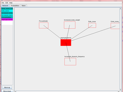 Coarse representation of Bayesain Network: To be improved
