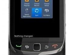 Blackberry Client (Main Screen)