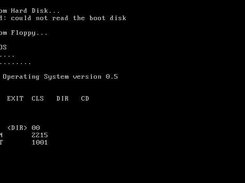 Basic Disk Operating System (BDOS) Screenshot 2